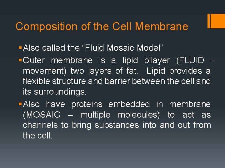 Composition of the Cell Membrane § Also called the “Fluid Mosaic Model” § Outer