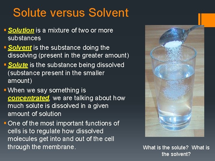 Solute versus Solvent § Solution is a mixture of two or more substances §