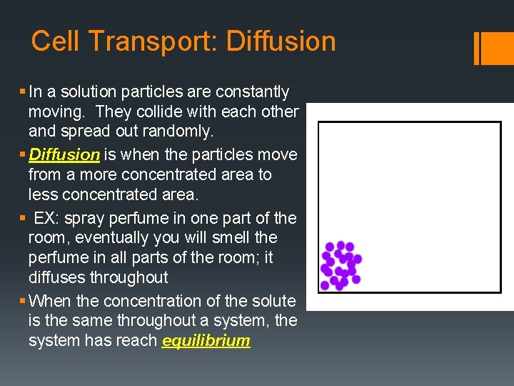 Cell Transport: Diffusion § In a solution particles are constantly moving. They collide with