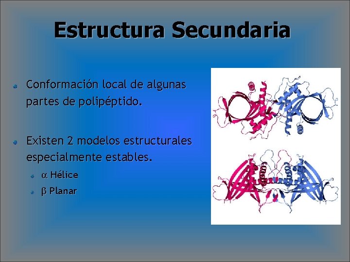 Estructura Secundaria Conformación local de algunas partes de polipéptido. Existen 2 modelos estructurales especialmente