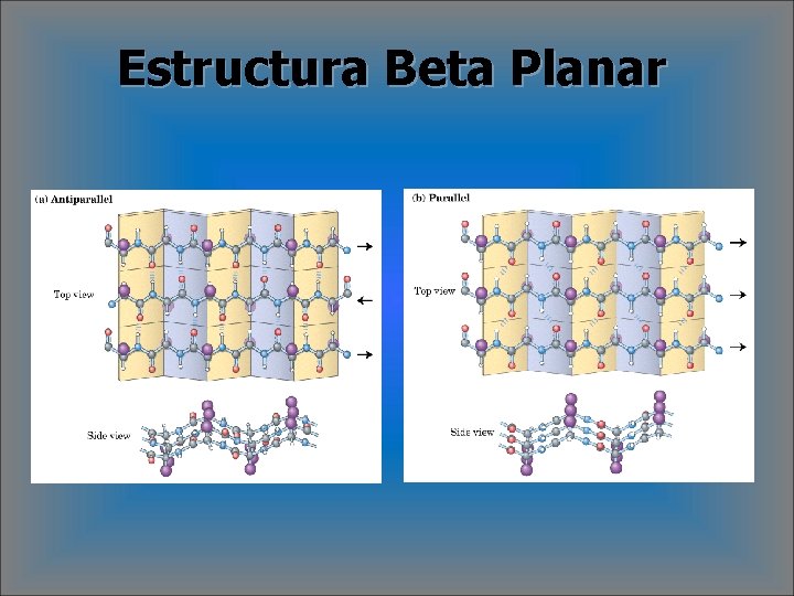 Estructura Beta Planar 