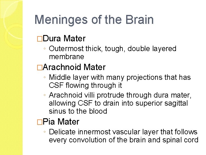 Meninges of the Brain �Dura Mater ◦ Outermost thick, tough, double layered membrane �Arachnoid