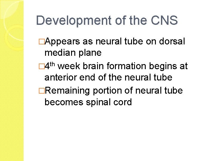 Development of the CNS �Appears as neural tube on dorsal median plane � 4