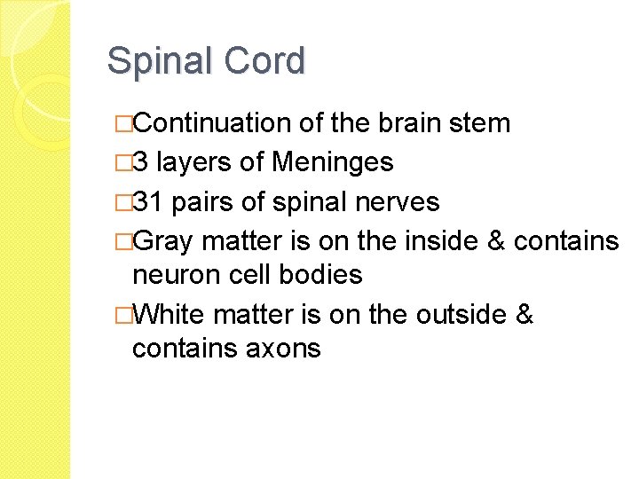 Spinal Cord �Continuation of the brain stem � 3 layers of Meninges � 31