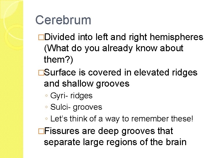 Cerebrum �Divided into left and right hemispheres (What do you already know about them?