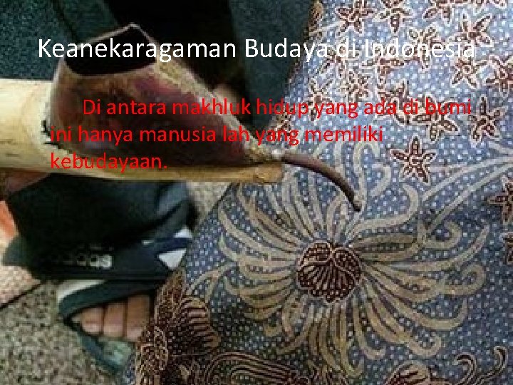 Keanekaragaman Budaya di Indonesia Di antara makhluk hidup yang ada di bumi ini hanya