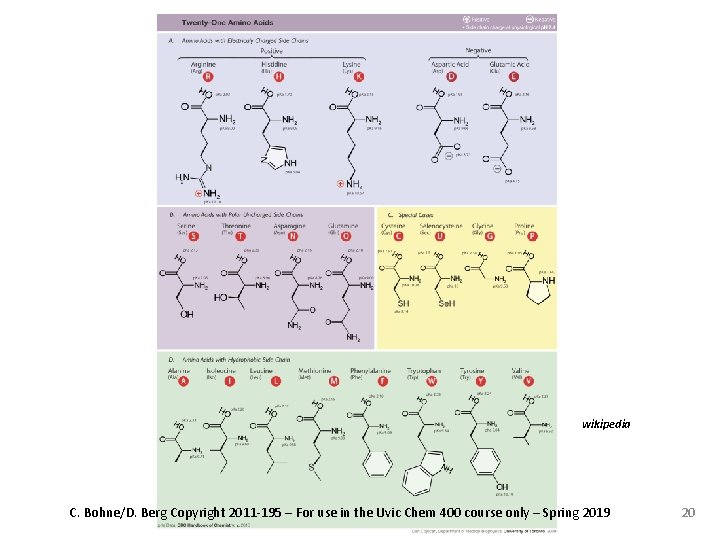 wikipedia C. Bohne/D. Berg Copyright 2011 -195 – For use in the Uvic Chem