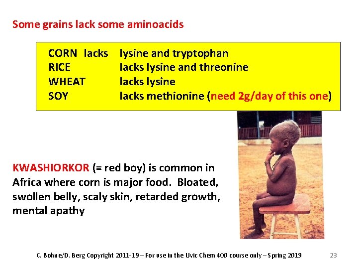Some grains lack some aminoacids CORN lacks RICE WHEAT SOY lysine and tryptophan lacks