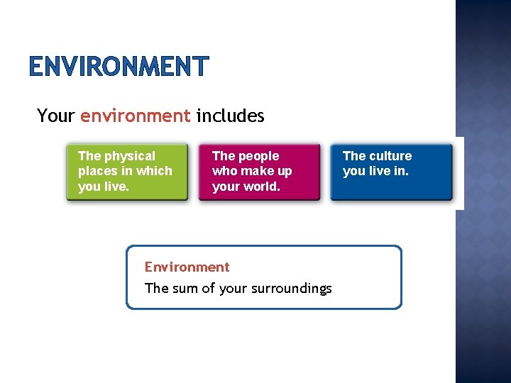 ENVIRONMENT Your environment includes The physical places in which you live. The people who