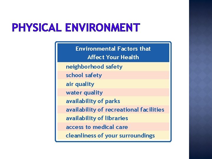 PHYSICAL ENVIRONMENT Environmental Factors that Affect Your Health neighborhood safety school safety air quality