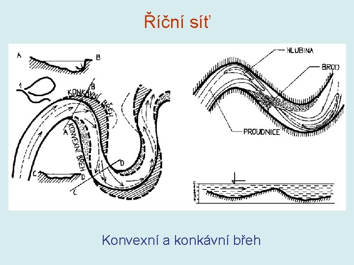 Říční síť Konvexní a konkávní břeh Říční síť Konvexní a konkávní břeh