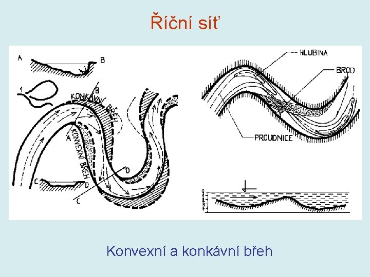 Říční síť Konvexní a konkávní břeh 