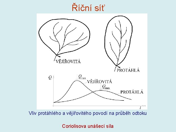 Říční síť Vliv protáhlého a vějířovitého povodí na průběh odtoku Coriolisova unášecí síla Říční síť Vliv protáhlého a vějířovitého povodí na průběh odtoku Coriolisova unášecí síla