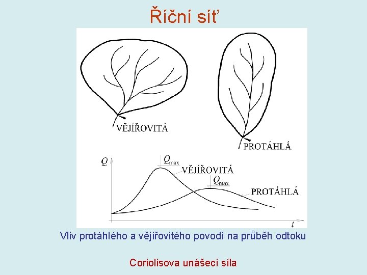 Říční síť Vliv protáhlého a vějířovitého povodí na průběh odtoku Coriolisova unášecí síla 