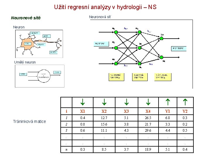 Užití regresní analýzy v hydrologii – NS Neuronová síť Neuronové sítě Neuron Umělý neuron