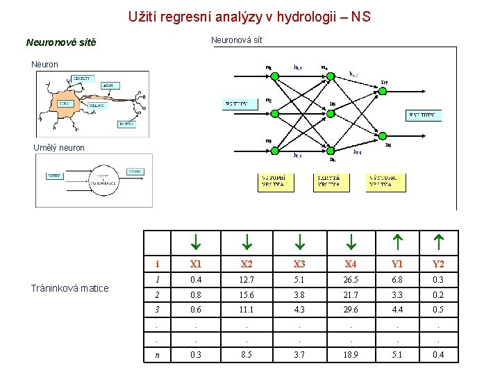 Užití regresní analýzy v hydrologii – NS Neuronová síť Neuronové sítě Neuron Umělý neuron Užití regresní analýzy v hydrologii – NS Neuronová síť Neuronové sítě Neuron Umělý neuron