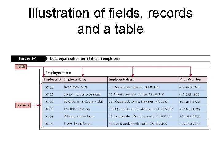 Illustration of fields, records and a table 