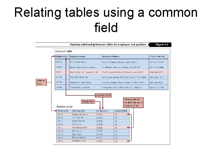 Relating tables using a common field 