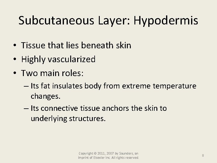 Subcutaneous Layer: Hypodermis • Tissue that lies beneath skin • Highly vascularized • Two
