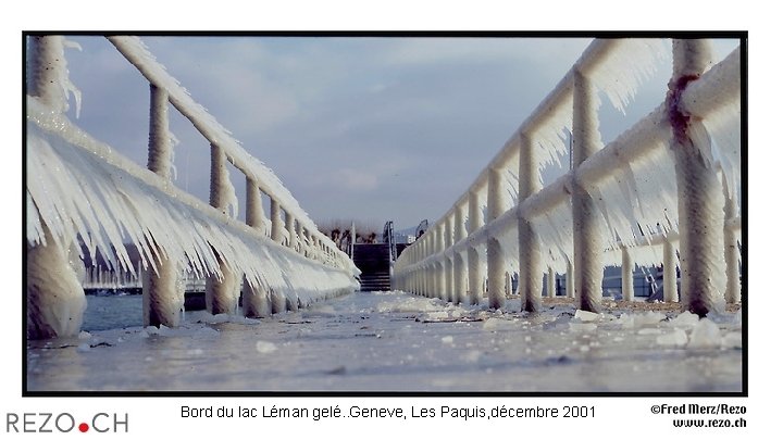 Bord du lac Léman gelé. . Geneve, Les Paquis, décembre 2001 