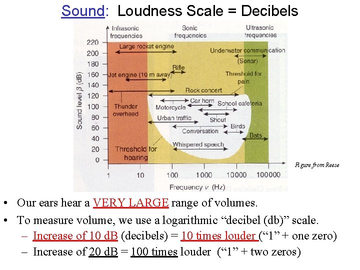 Sound: Loudness Scale = Decibels Figure from Reese • Our ears hear a VERY