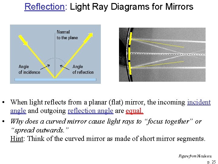 Reflection: Light Ray Diagrams for Mirrors • When light reflects from a planar (flat)