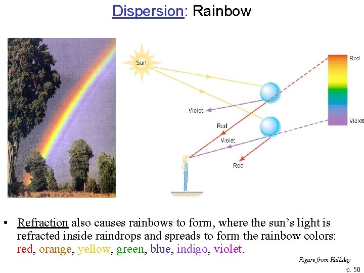 Dispersion: Rainbow • Refraction also causes rainbows to form, where the sun’s light is