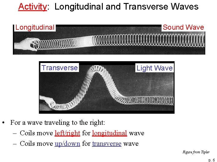 Activity: Longitudinal and Transverse Waves Longitudinal Transverse Sound Wave Light Wave • For a