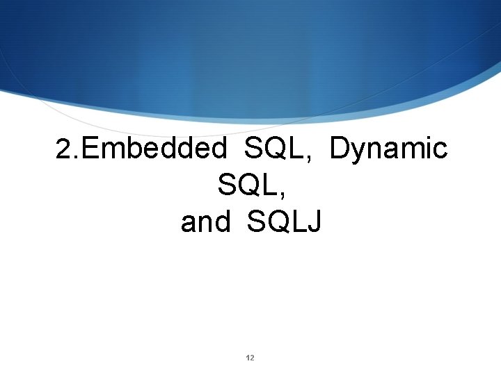 2. Embedded SQL, Dynamic SQL, and SQLJ 12 