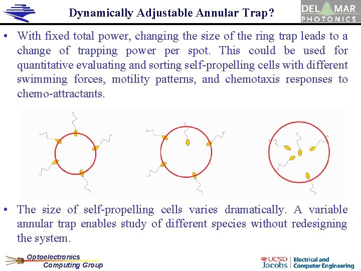 Dynamically Adjustable Annular Trap? • With fixed total power, changing the size of the