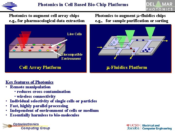 Photonics in Cell Based Bio-Chip Platforms Photonics to augment cell array chips e. g.