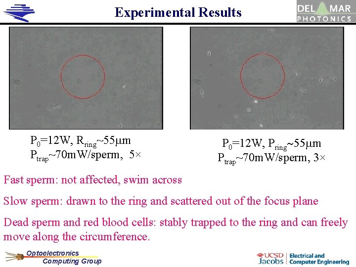 Experimental Results P 0=12 W, Rring~55 mm Ptrap~70 m. W/sperm, 5× P 0=12 W,