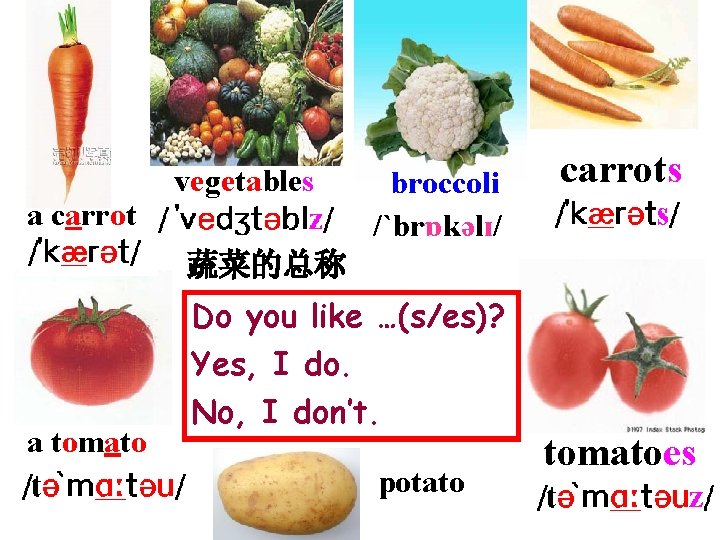 a carrot vegetables broccoli /`brɒkəlɪ/ carrots 蔬菜的总称 a tomato Do you like …(s/es)? Yes,