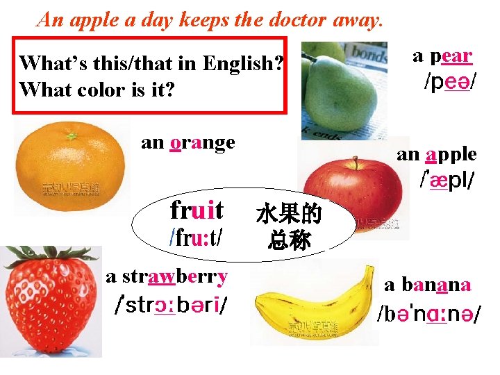 An apple a day keeps the doctor away. What’s this/that in English? What color