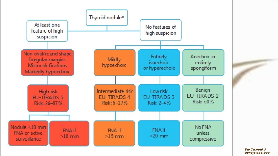 Eur Thyroid J 2017; 6: 225– 237 