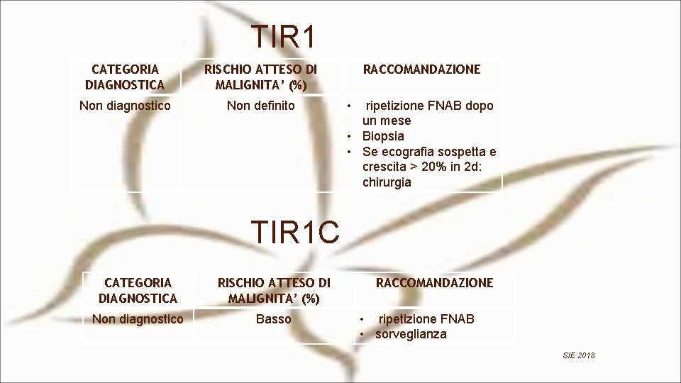 TIR 1 CATEGORIA DIAGNOSTICA RISCHIO ATTESO DI MALIGNITA’ (%) Non diagnostico Non definito RACCOMANDAZIONE