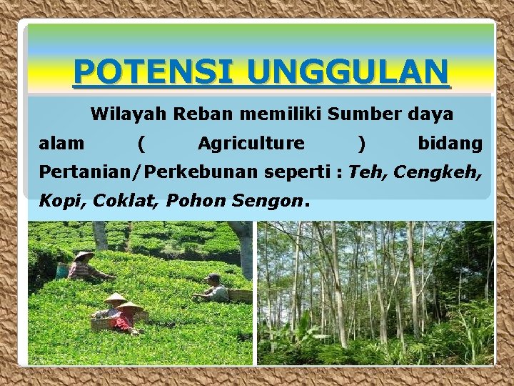 POTENSI UNGGULAN Wilayah Reban memiliki Sumber daya alam ( Agriculture ) bidang Pertanian/Perkebunan seperti