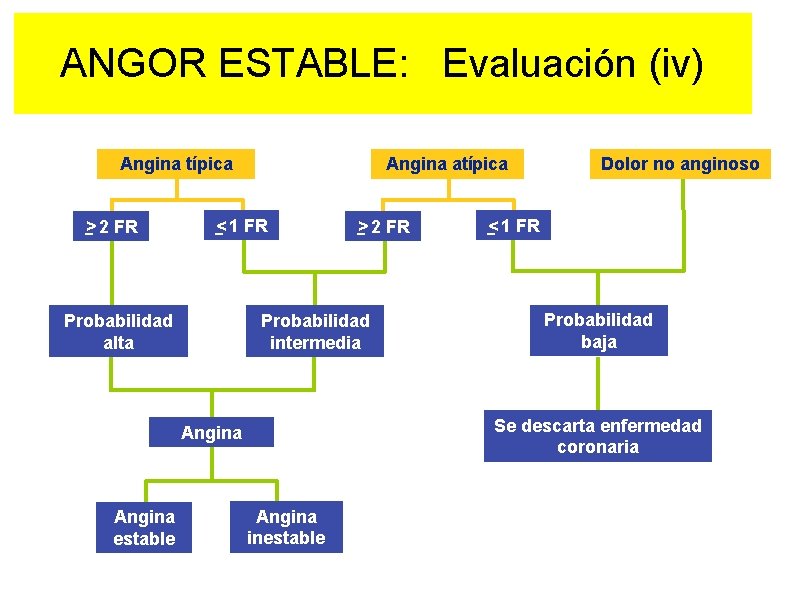 ANGOR ESTABLE: Evaluación (iv) Angina típica > 2 FR Angina atípica < 1 FR