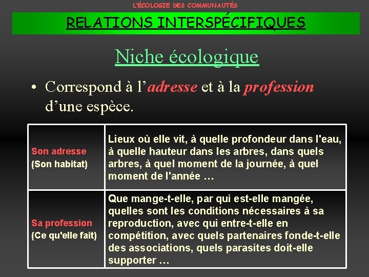 L’ÉCOLOGIE DES COMMUNAUTÉS RELATIONS INTERSPÉCIFIQUES Niche écologique • Correspond à l’adresse et à la