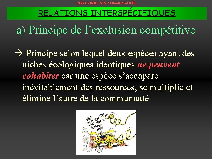 L’ÉCOLOGIE DES COMMUNAUTÉS RELATIONS INTERSPÉCIFIQUES a) Principe de l’exclusion compétitive Principe selon lequel deux
