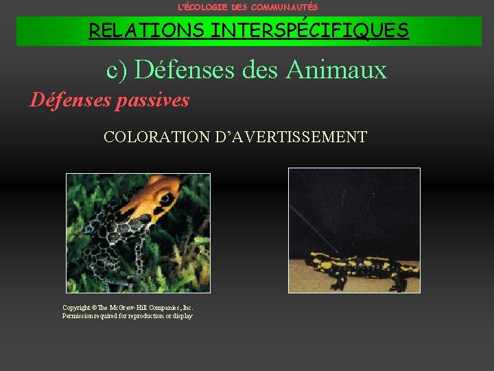 L’ÉCOLOGIE DES COMMUNAUTÉS RELATIONS INTERSPÉCIFIQUES c) Défenses des Animaux Défenses passives COLORATION D’AVERTISSEMENT Copyright