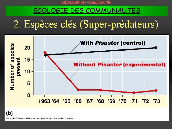 L’ÉCOLOGIE DES COMMUNAUTÉS 2. Espèces clés (Super-prédateurs) 