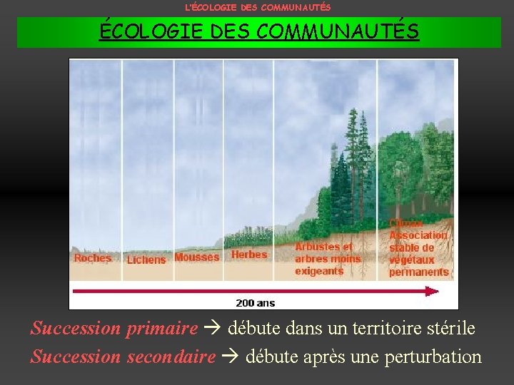 L’ÉCOLOGIE DES COMMUNAUTÉS Succession primaire débute dans un territoire stérile Succession secondaire débute après