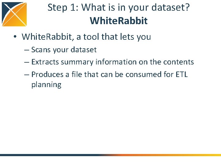 Step 1: What is in your dataset? White. Rabbit • White. Rabbit, a tool