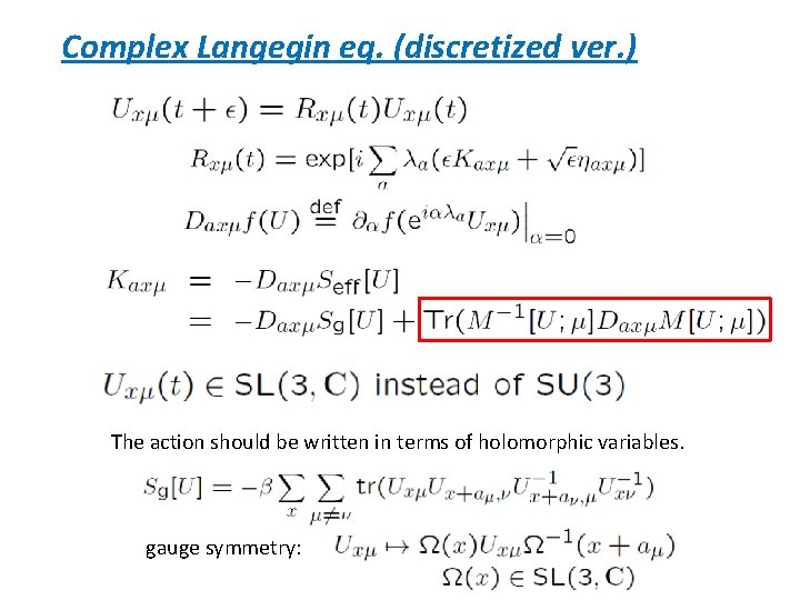 Complex Langegin eq. (discretized ver. ) The action should be written in terms of