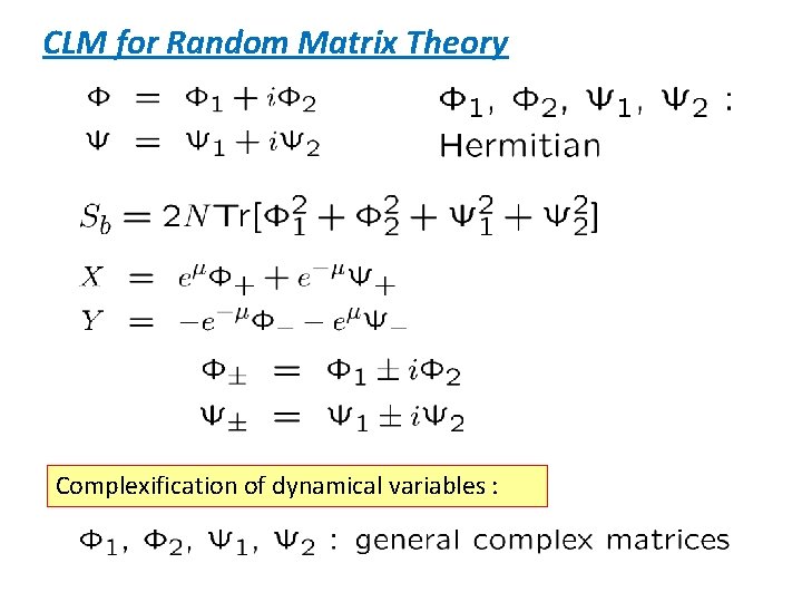 CLM for Random Matrix Theory Complexification of dynamical variables : 