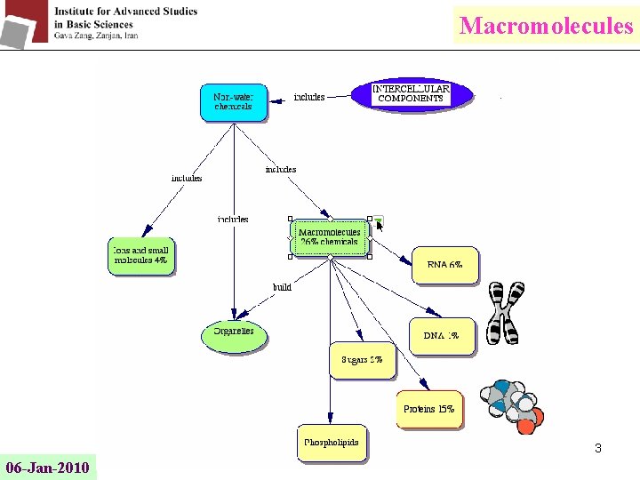 Macromolecules 3 06 -Jan-2010 