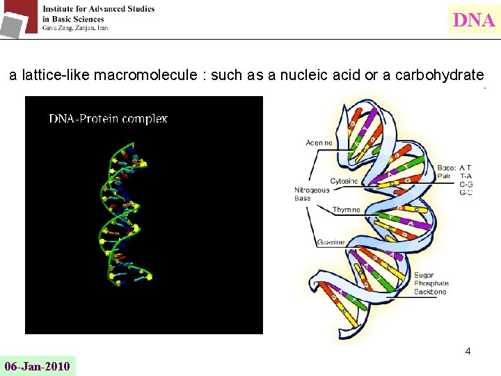 DNA a lattice-like macromolecule : such as a nucleic acid or a carbohydrate 4