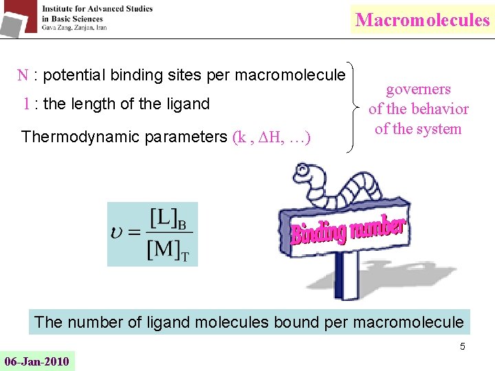 Macromolecules N : potential binding sites per macromolecule l : the length of the