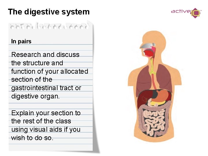 The digestive system In pairs Research and discuss the structure and function of your